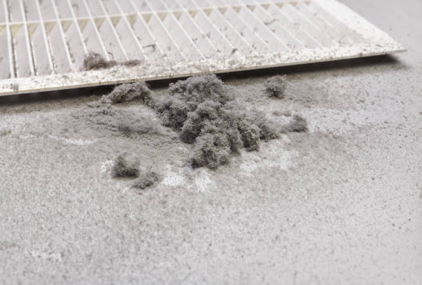 Best Dryer Vent Cleaning Services  in Winlock, WA