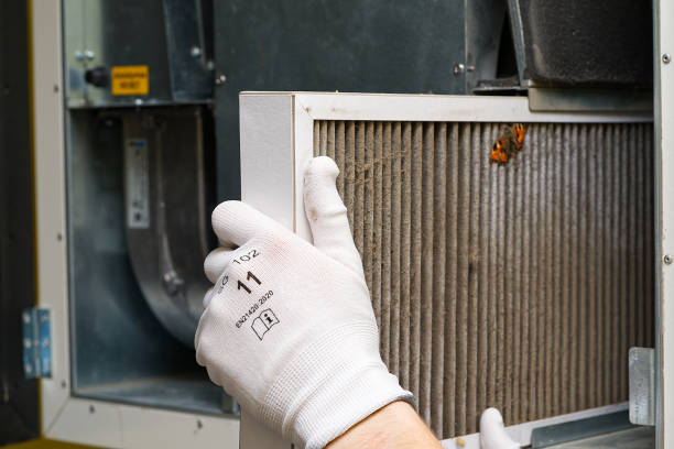 Best Air Vent Cleaning Services  in Winlock, WA