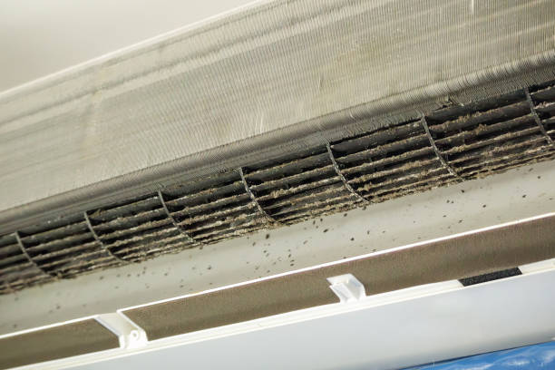 Best Commercial Air Duct Cleaning  in Winlock, WA