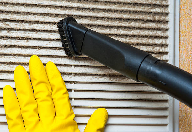 Best Home Air Vent Cleaning  in Winlock, WA